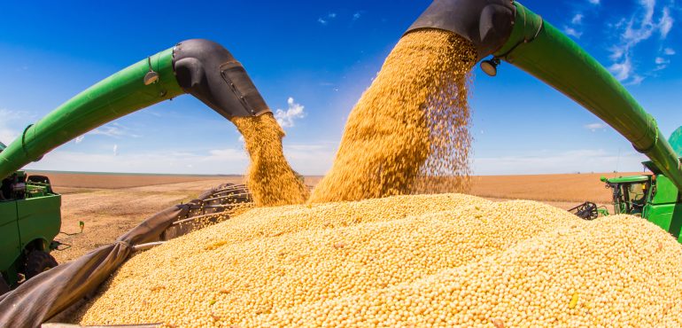 Agribusiness Executive Search & Recruiters | Cowen Partners
