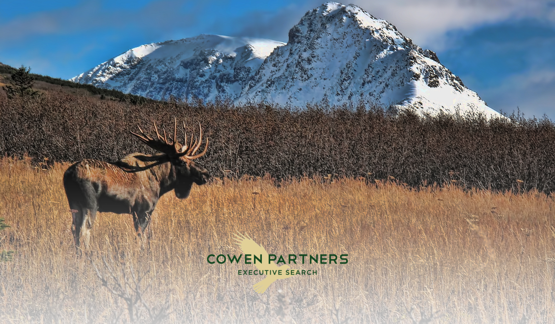 Finding top executive talent in Alaska | Alaskan Executive Search